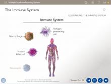 Unbranded Storyline Module: Multiple Myeloma