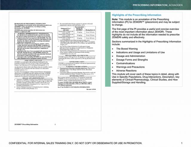 Annotated PI Microsoft Word Example